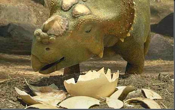 walkingwithdinosaurs photo