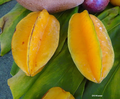 Averrhoa carambola, star fruit