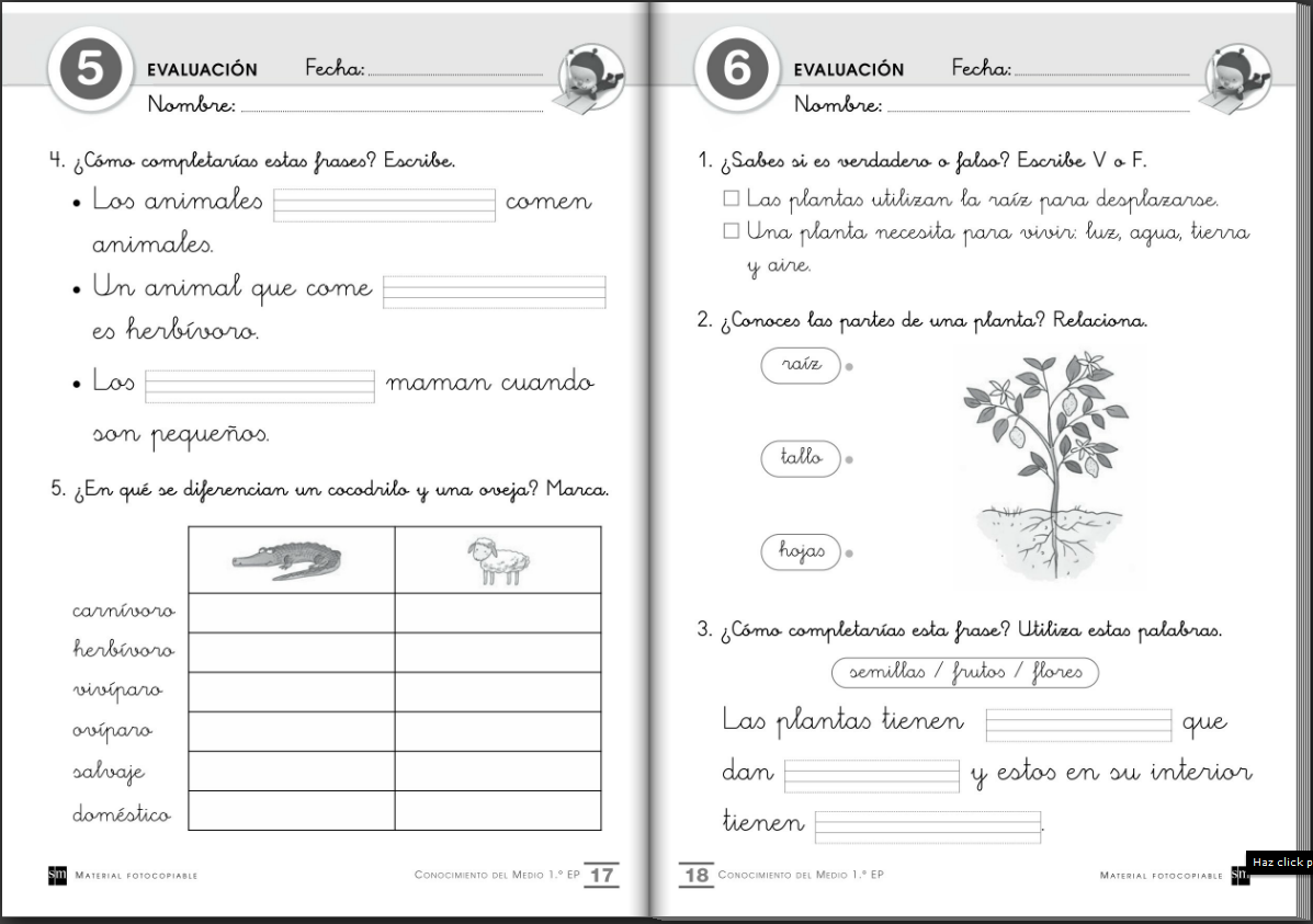 http://www.primerodecarlos.com/fichas_SM/evaluaciones_segundo_trimestre_1º/index.html