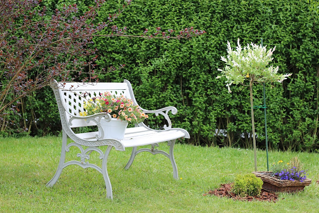 Fumigación de jardines: ¿cómo eliminar plaga de topos?