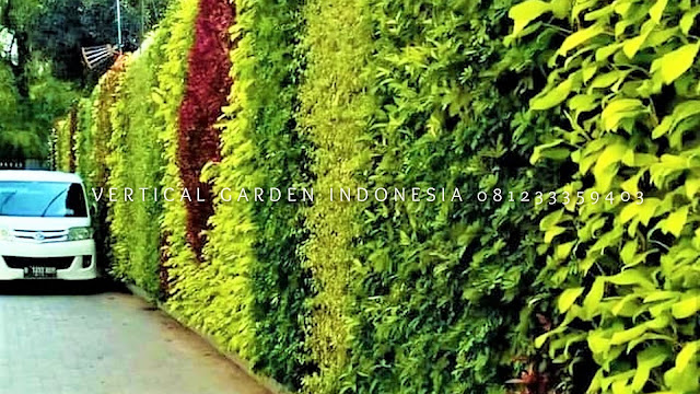 VERTICAL GARDEN INDONESIA SPESIALIS JASA PEMBUATAN VERTICAL GARDEN DI MAGELANG JAWA TENGAH DAN DI SELURUH WILAYAH JAWA TENGAH DENGAN TENAGA YANG PROFESIONAL DAN DAPAT DI PERCAYA YANG SELALU MENGUTAMAKAN SEBUAH MUTU DAN KUALITAS PEMASANGAN VERTICAL GARDEN/TAMAN DINDING, JASA TUKANG TAMAN VERTICAL MAGELANG JAWA TENGAH, JASA VERTICAL GARDEN MAGELANG JAWA TENGAH