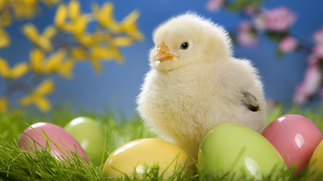 easter popular images