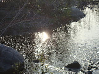 Sunset over a desert stream in Tujunga Wash, Photo (c) by Maja Trochimczyk