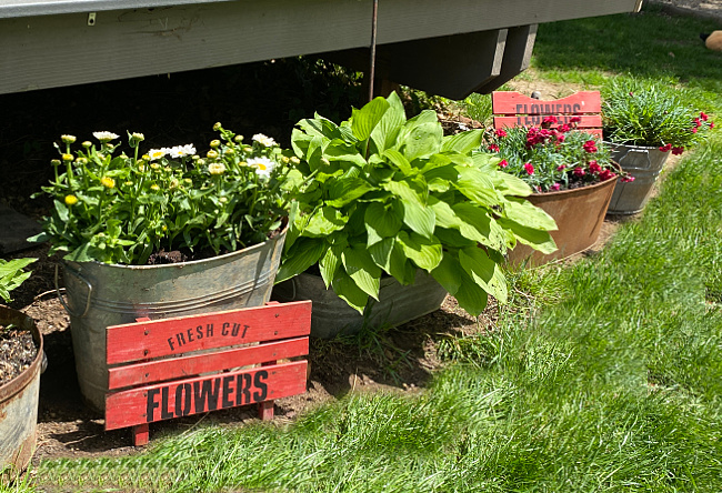tub garden with signs