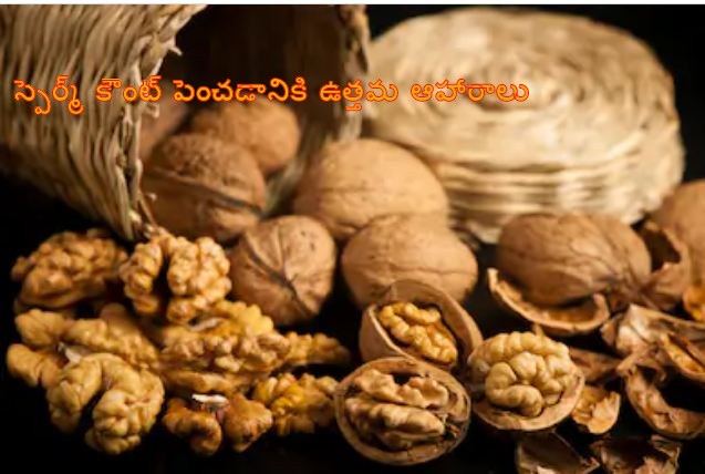 best foods to increase sperm count naturally in telugu, how to increase sperm count in telugu, best foods to increase sperm count in telugu, superfoods to increase sperm count in telugu, foods to increase sperm count in telugu, how to increase sperm count telugu, food items for better sperm count, veeryam problems in telugu, list of foods to increase sperm count in telugu, sperm motility increase food in telugu, sperm count increasing foods telugu, sperm count meaning in telugu, natural foods to increase sperm count in telugu, sperm count increasing foods in telugu, foods to increase sperm count telugu, list of foods that help to increase quality of sperm, simple health tips telugu, telugu health tips, best health tips in telugu