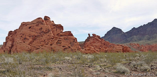 E-P1000451