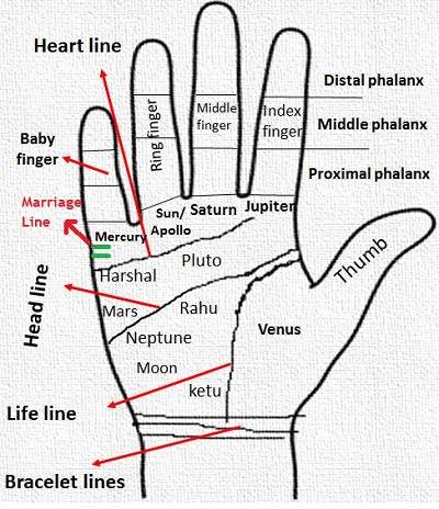 MARRIAGE LINE AND CALCULATION OF THE AGE OF GETTING MARRIED.