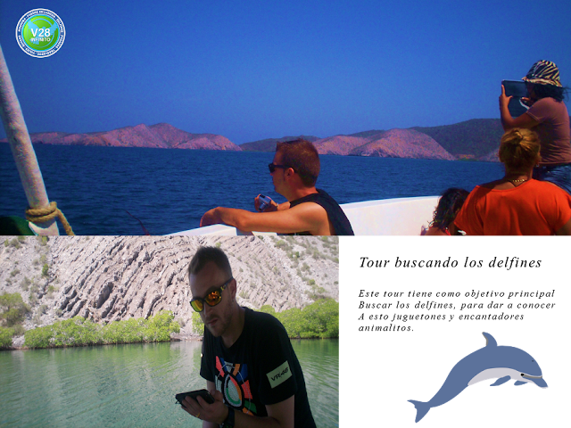 imagen mochima tour buscando los delfines 