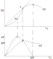 Characteristics of Average & Marginal Product