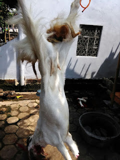 Rumah Aqiqah Kendal