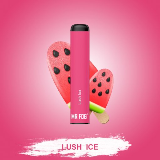 MR FOG 1.3ML DISPOSABLE – LUSH ICE