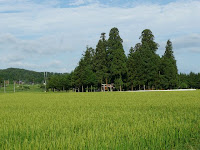 村社の八幡神社と稲穂