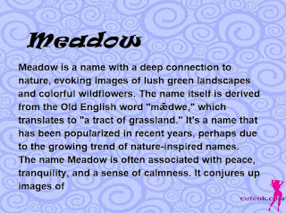 meaning of the name "Meadow"