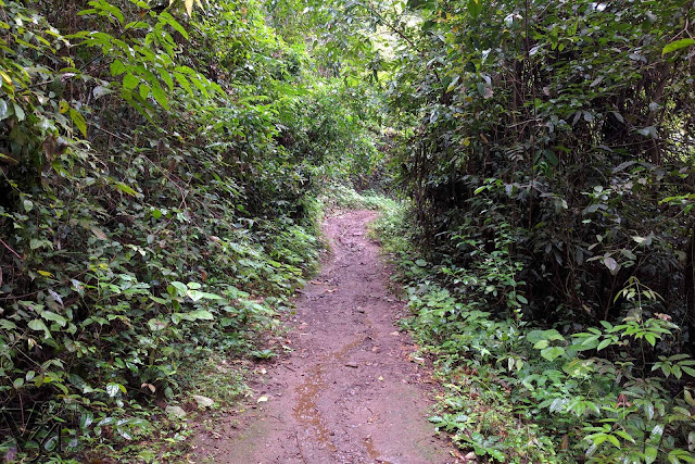 Yana trek trail