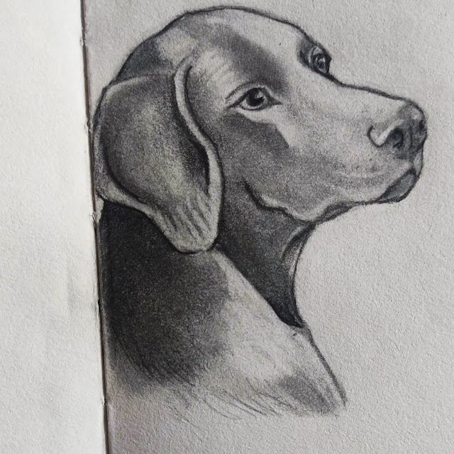 Cute Dogs Drawings