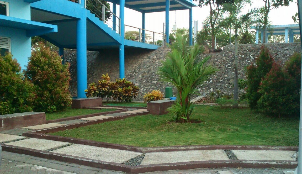 Jasa Landscape Propesional Ahli Desain Taman Ahli Taman 