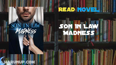 Read Son In Law Madness Novel Full Episode