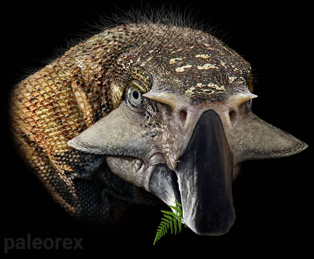 Пситтакозавр (Psittacosaurus)
