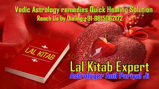 Husband Wife Problem Solution by Lal Kitab Expert