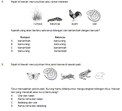 DUNIA SAINS TAHUN 5: LATIHAN UNIT 3: RANTAI MAKANAN DAN 