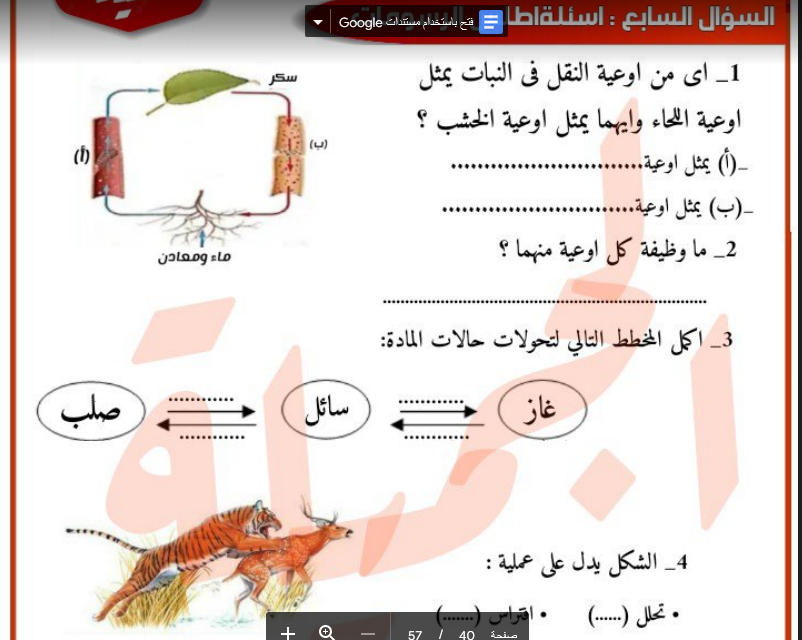 مراجعة الجميلة النهائية فى العلوم للصف الخامس الابتدائى الفصل الدراسى الاول