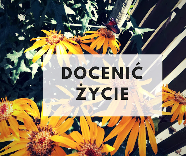 Docenić życie #1