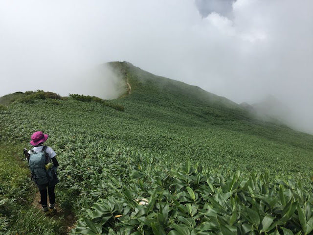 茂倉岳からの下り