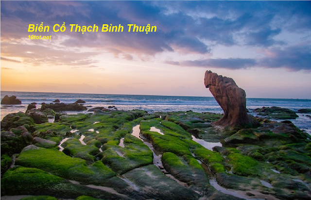 Bãi biển Cổ Thạch Bình Thuận