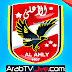 البث المباشر - قناة الاهلي الرياضية Alahly TV HD Live
