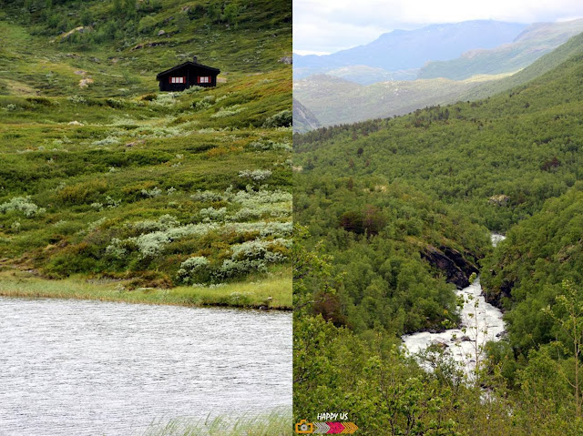 Massif du Jotunheimen - Route du Sognefjell - Norvège