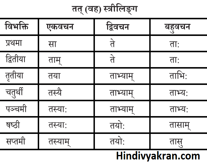 तत्/तद् शब्द रूप स्त्रीलिंग संस्कृत में – Tat Shabd Roop Striling In Sanskrit