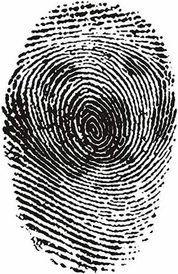 Spot The Animal in Fingerprints | Hidden Animal Illusion