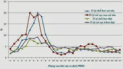 Bảng 1b: Số liệu trước và sau khi xảy ra dịch PRRS