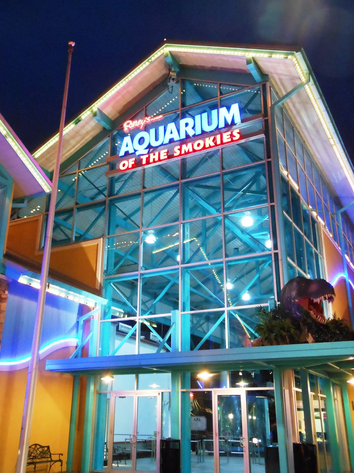 Zoo Tails: Ripley's Aquarium of the Smokies Review - Gatlingburg+aquarium