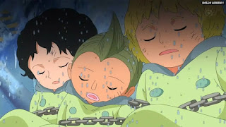 ワンピースアニメ パンクハザード編 592話 子供 | ONE PIECE Episode 592