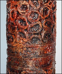 VESSEL2