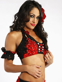 nikki bella wwe 2013