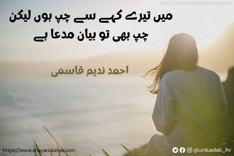 Top 30 khamoshi shayari urdu | khamoshi shayari 2 line | teri khamoshi shayari urdu