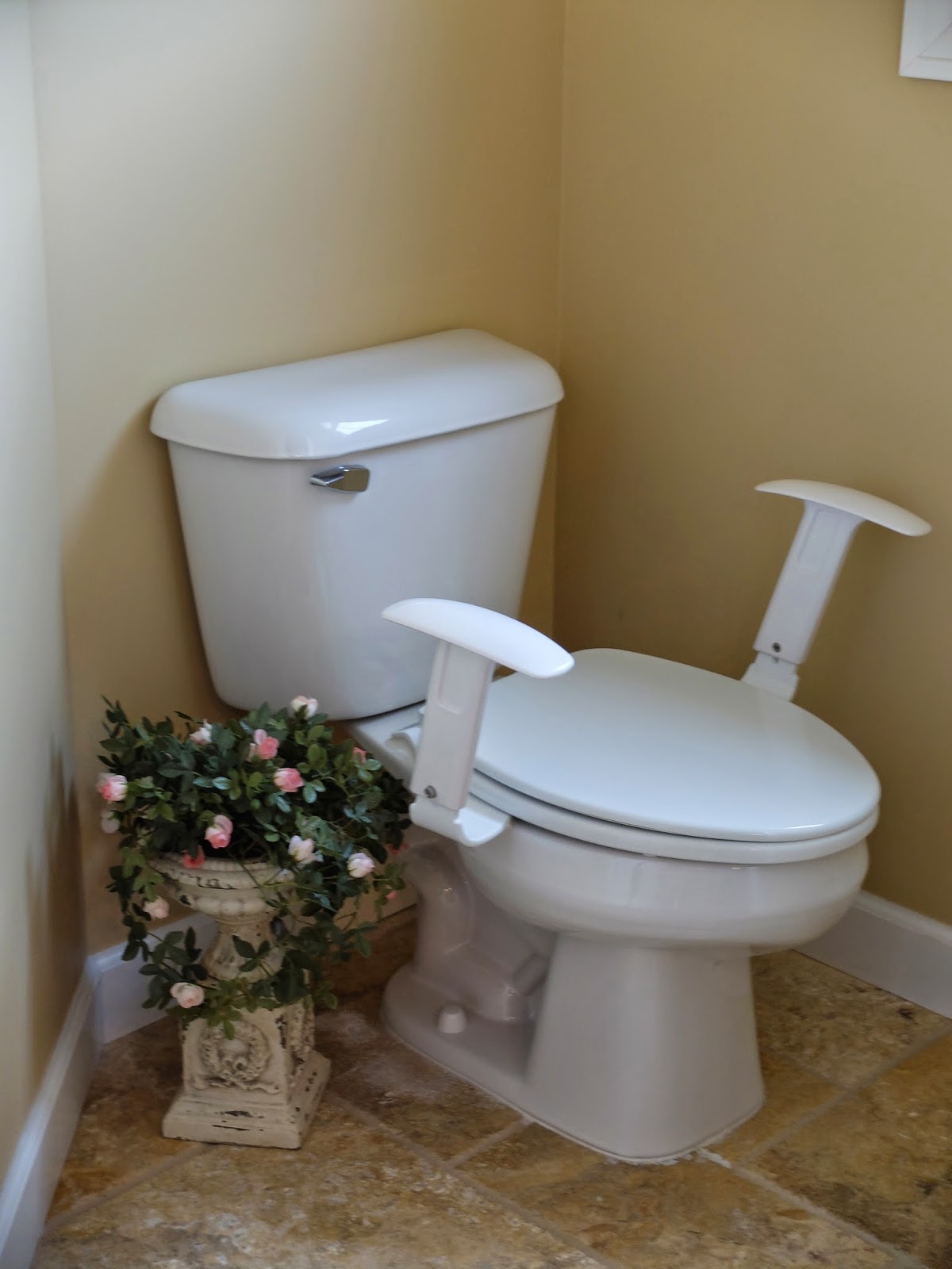 http://essential-luxuries-2.myshopify.com/products/adagio-arms-armrests-for-the-toilet