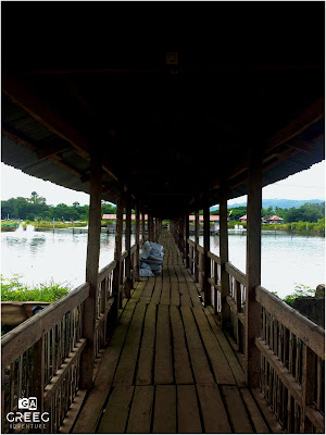 Fish feeding area