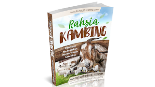 Rahsia Kambing Panduan Memulakan Penternakan Kambing