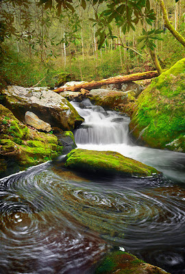 Imágenes de montañas, ríos, cascadas, paisajes y flores