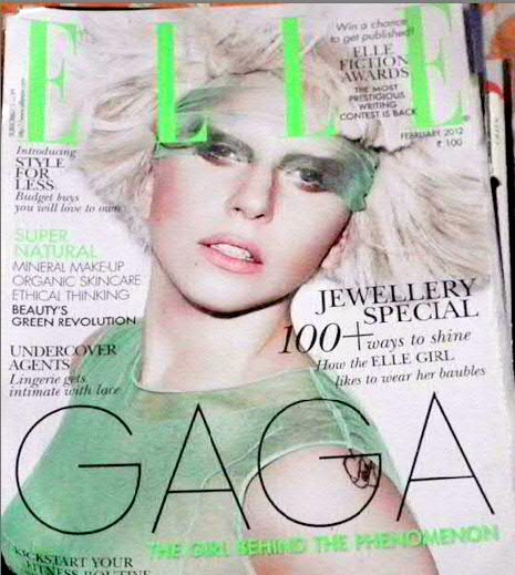 On the cover Lady Gaga What is she wearing Silk Tulle dress and matching