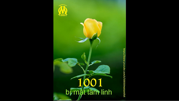 1001 Bí Mật Tâm Linh (0092) Một khoảnh khắc nhỏ vô ham muốn giữa hai ham muốn, đó là thiền