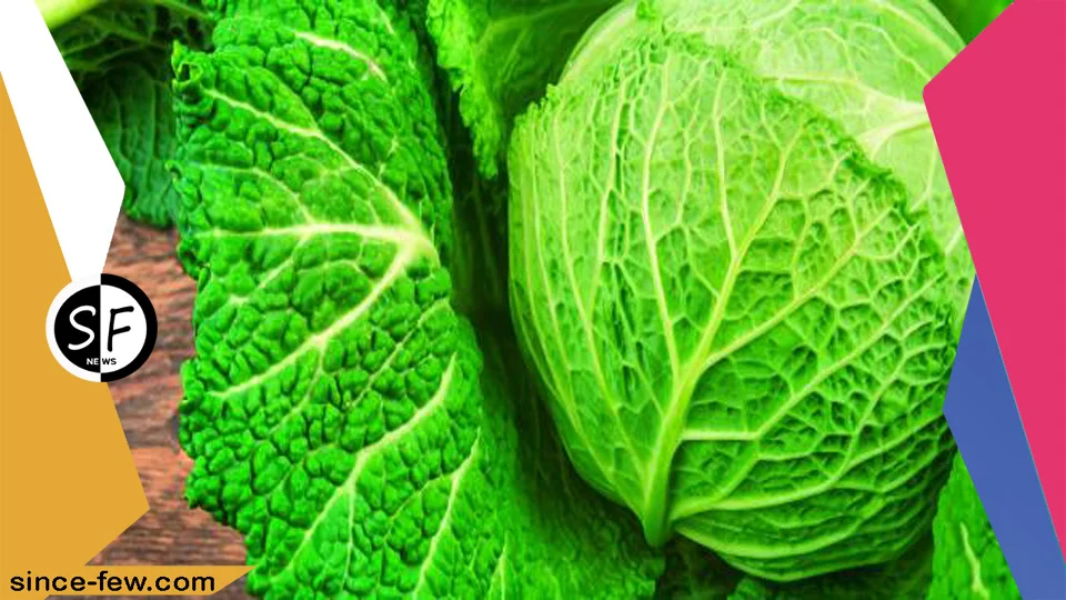 To Cleanse The Body and Get Rid of Excess Weight.. Try Cabbage Juice in Different Ways