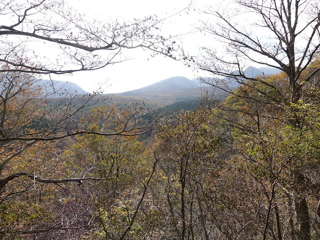 大山の香取の山道からの眺望