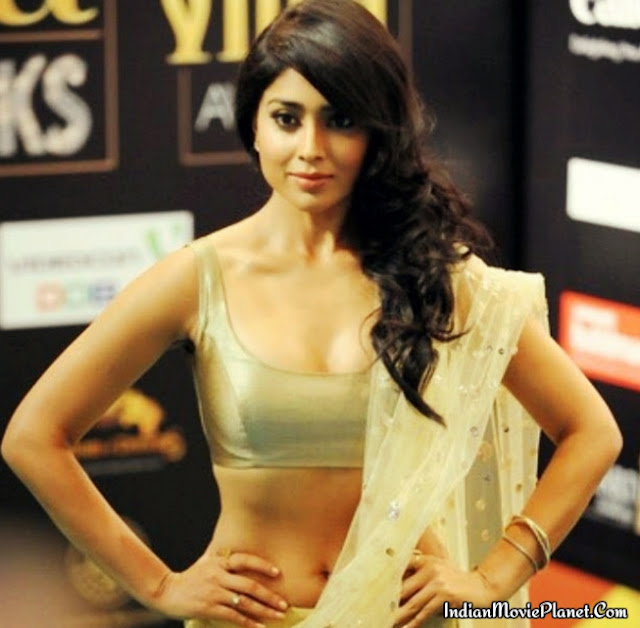 shriya saran hot navel cleavage showing stills