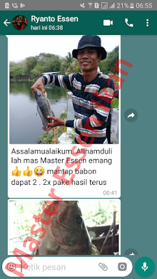 Essen Sereh Untuk Ikan Nila Indukan