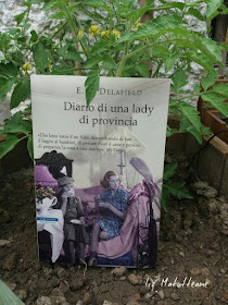 http://matutteame.blogspot.it/2017/06/em-delafield-diario-di-una-lady-di.html