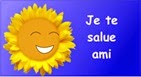 salut ami